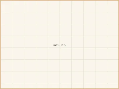 人妻 - 衣橱整理术 - 如何穿出温柔气质